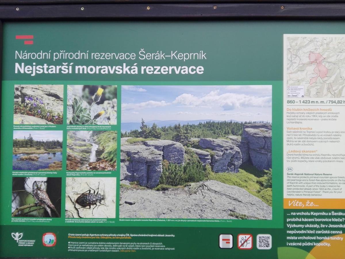 Penzion La Baita Branná Eksteriør bilde