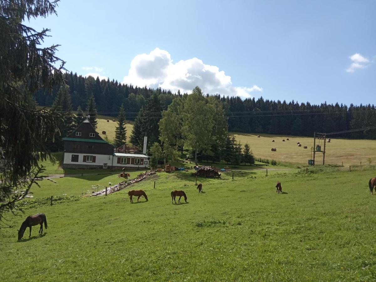 Penzion La Baita Branná Eksteriør bilde